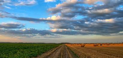 Ministerul Agriculturii vrea sa ingreuneze cumpararea de terenuri agricole de...