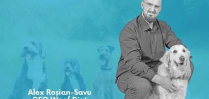 Cum faci o afacere în România din nutriția pentru câini cu ajutorul tehnologiei