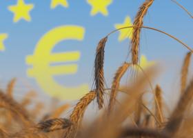Grânarul lumii: Uniunea Europeană va deveni cel mai mare producător de grâu...