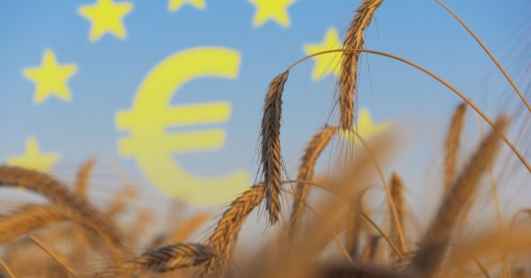 Grânarul lumii: Uniunea Europeană va deveni cel mai mare producător de grâu...