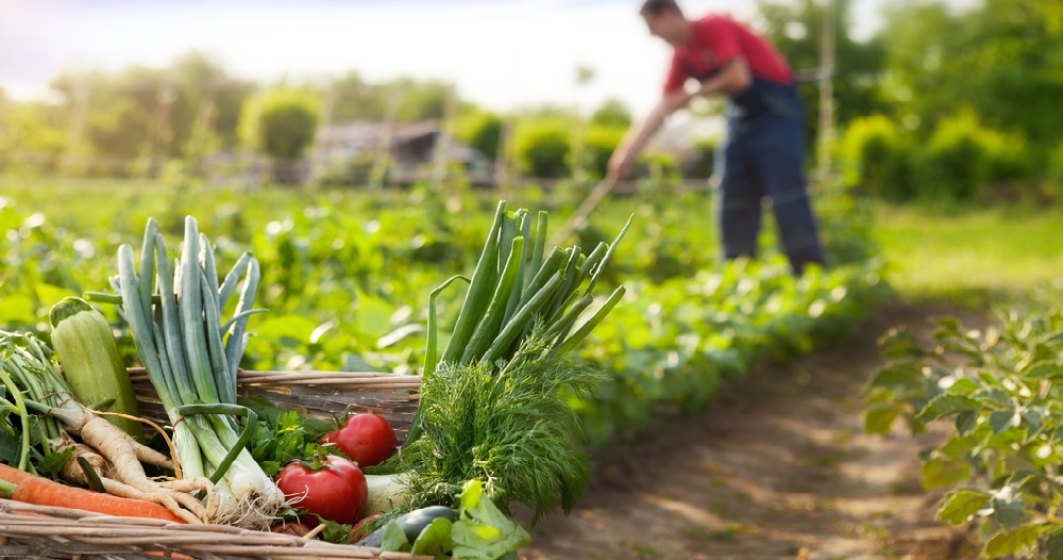 Ministrul Agriculturii promite să facă produsele românești competitive în supermarketuri