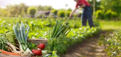 Ministrul Agriculturii promite să facă produsele românești competitive în...