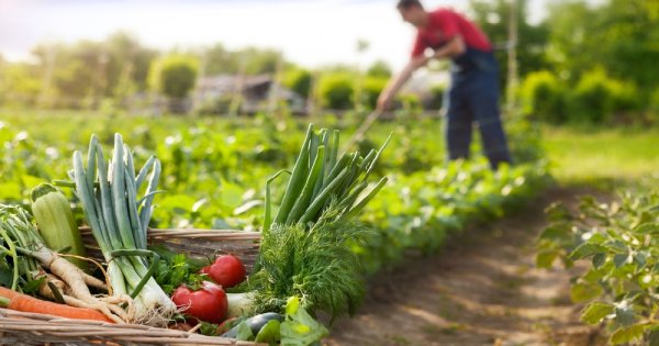 Ministrul Agriculturii promite să facă produsele românești competitive în...