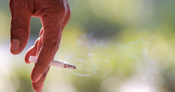 Organizația Mondială a Sănătății cere Bulgariei să nu mai producă tutun