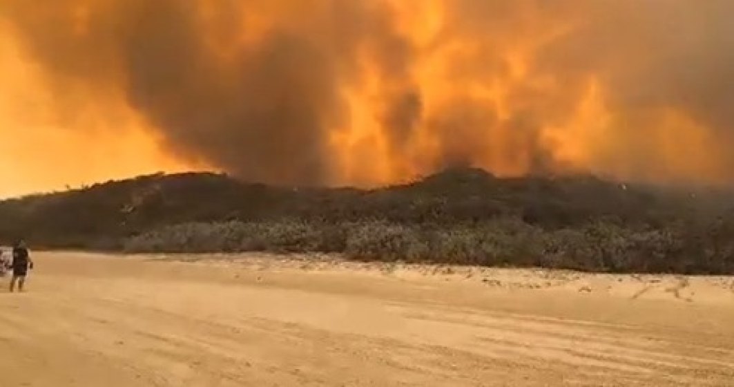 O insulă din Australia, patrimoniu UNESCO, este devastată de incendii