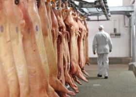 Producția de carne de porc a scăzut anul trecut cu aproape 11%. Am compensat...