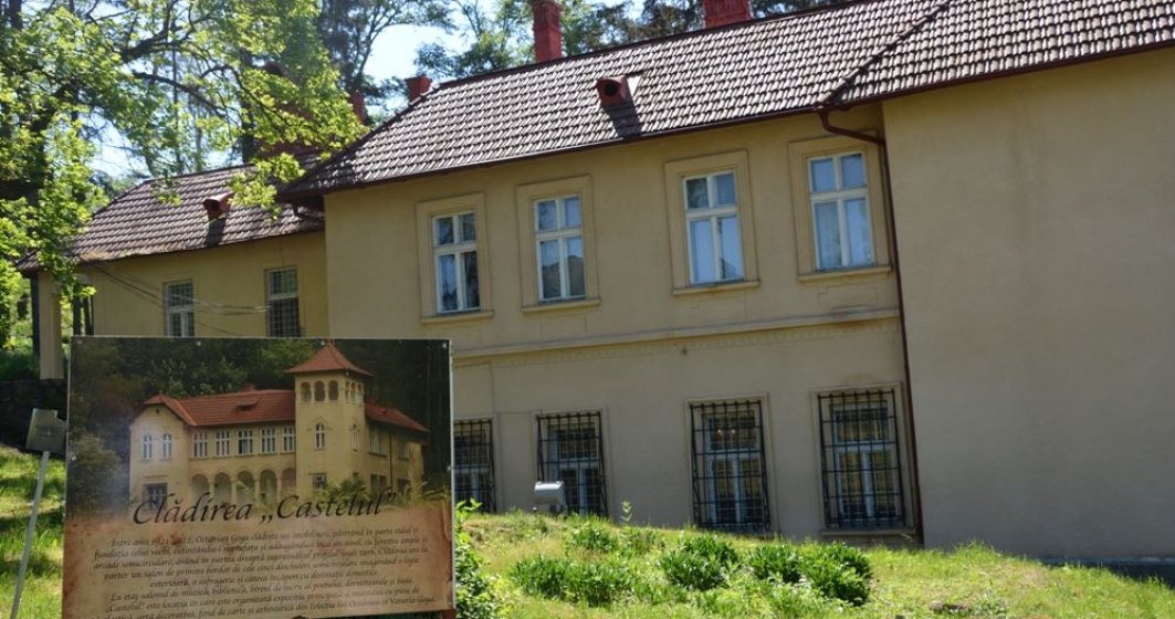 Decizie definitivă a Instanței: Castelul și domeniul lui Octavian Goga de la Ciucea rămân în proprietatea Consiliului Județean Cluj