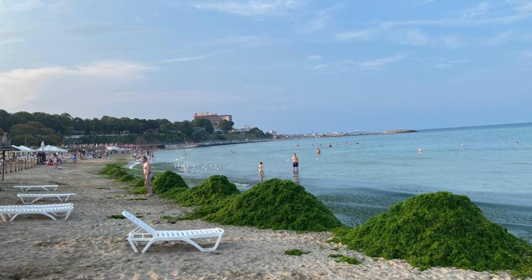 Munți de alge pe litoral: Apele Române au adunat aproape 3.000 de tone în minivacanța de Sfânta Maria