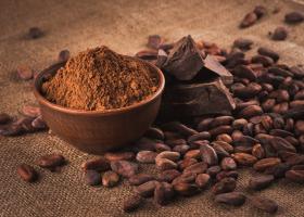 Vești proaste pentru iubitorii de ciocolată: procesatorii de cacao își reduc...