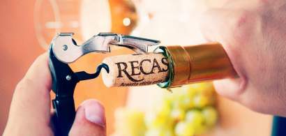 Cramele Recas, liderul pietei de vinuri din Romania. Afaceri de peste 38...