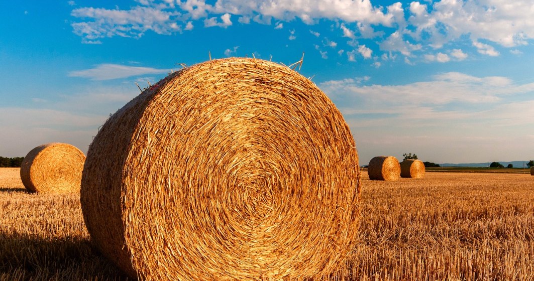 Proiect de ordonanta de urgenta: Fermierii vor putea accesa microcredite de pana la 50.000 de euro