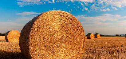 Proiect de ordonanta de urgenta: Fermierii vor putea accesa microcredite de...