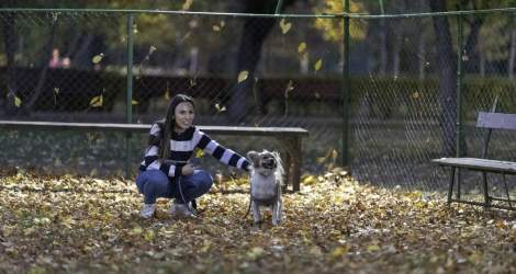 Școala lui Codruț: Drumul câinilor abandonați spre o noua viață