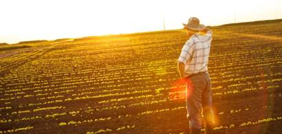 Agricultura viitorului: cum poți să îți faci ferma profitabilă prin tehnologie