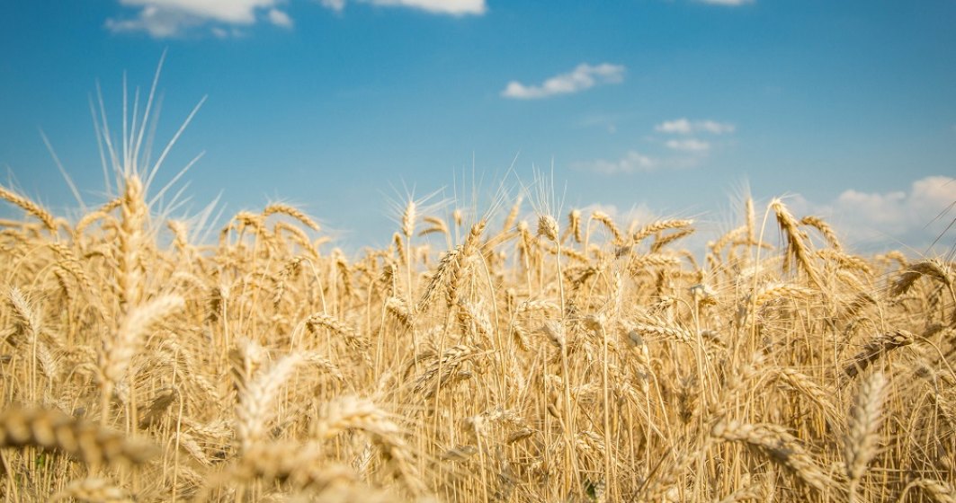 Agra Asigurări lansează un nou produs pentru agricultorii români