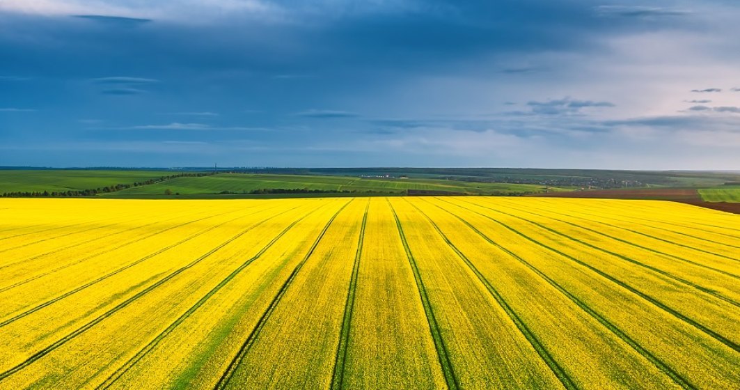 Cât costă un hectar de pământ în mediul rural în 2023. Cum a evoluat prețul în România
