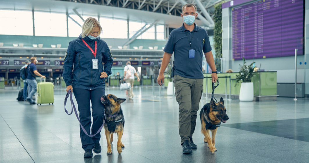 Bode va introduce câini care depistează COVID pe mai multe aeroporturi din țară