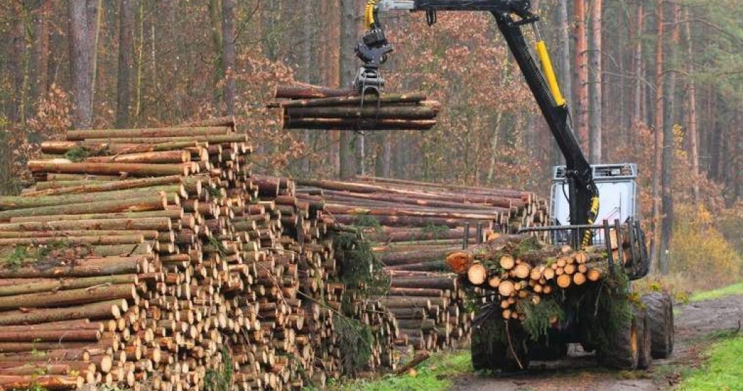 Legea care interzice pe 10 ani exportul de lemn în afară UE, promulgată
