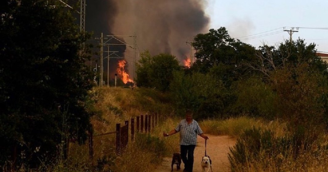Premierul Greciei: Țara sa este în război cu incendiile de vegetaţie