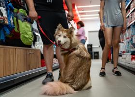 Maxi Pet deschide primul magazin la Târgu Mureș. Investiția depășește 200.000...