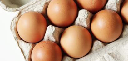Analiză XTB: Preţul mediu al ouălor în România a scăzut cu peste 15% faţă de...