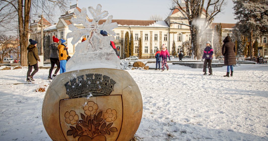 FOTO | Acest oraș din România a profitat de ger și a ornat spațiile publice cu flori de gheață