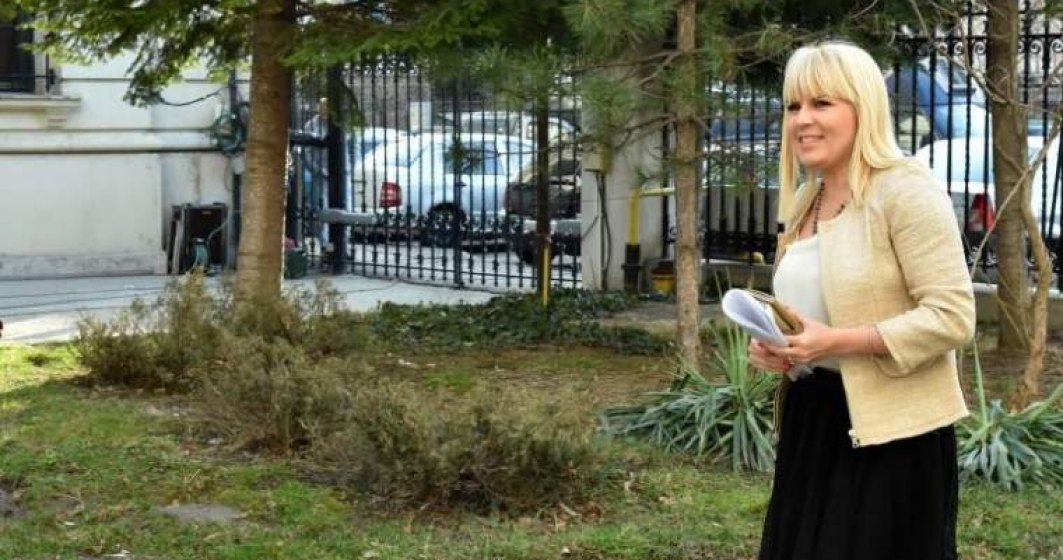 Guvernul Romaniei are la dispozitie doua luni pentru procedurile de extradare a Elenei Udrea si Alinei Bica