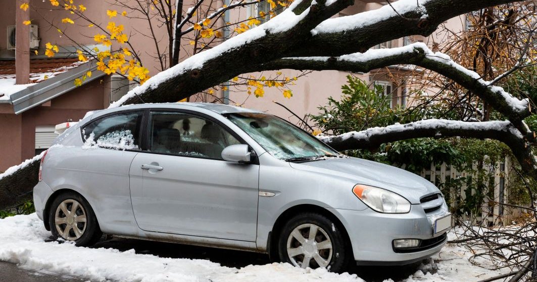 Copaci căzuţi şi autoturisme avariate în Bucureşti și Giurgiu din cauza vremii nefavorabile