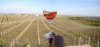 Romania a exportat anul trecut 14 milioane de litri de vin
