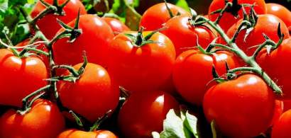 Programul "Tomata" continua si in 2020: beneficiarii trebuie sa valorifice o...