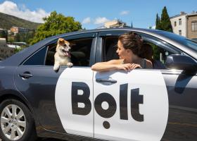 Noutăți Bolt: categoria Pet îți permite să mergi alături de animalul de companie