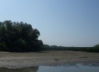 Poza 4 pentru galeria foto REPORTAJ: Delta Dunarii, un paradis care nu trebuie ocolit