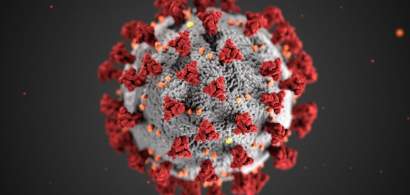 Coronavirus UPDATE, 17 iulie: 49 de noi cazuri raportate