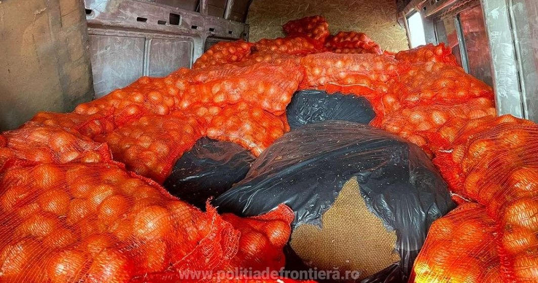 Un român a vrut să treacă granița cu 800 de kg de tutun ascuns printre saci cu ceapă