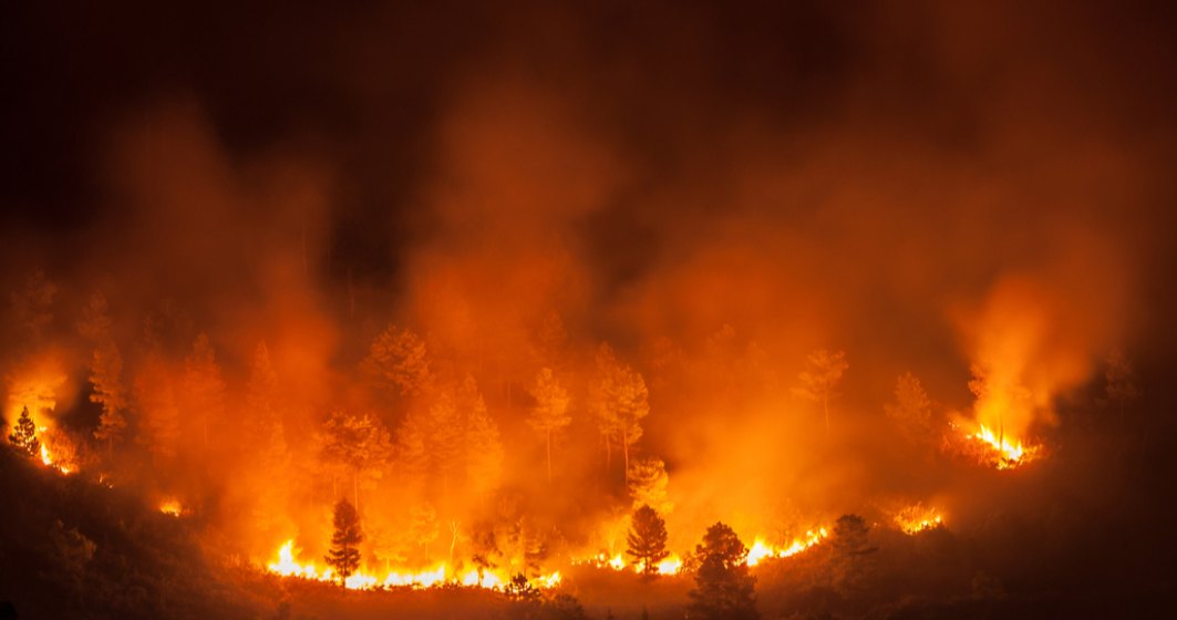 Incendiul care transformă în scrum o insulă grecească nu s-a oprit de trei zile