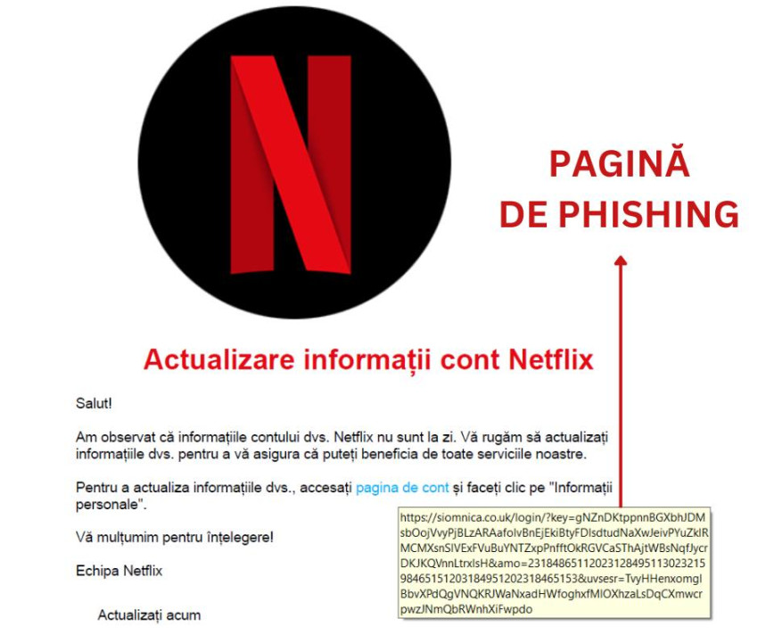 Netflix frauda cont