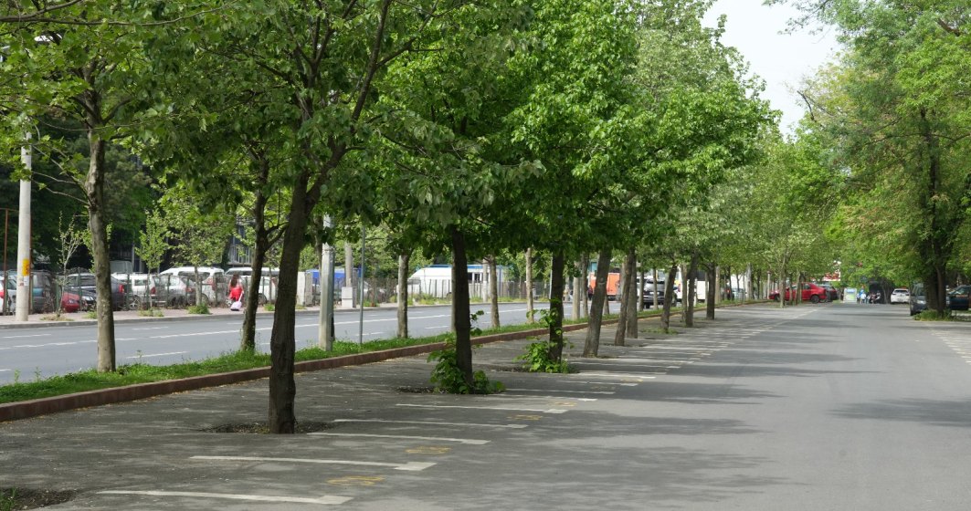 O nouă parcare pentru Bucureșteni: are 500 de locuri