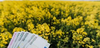 Bani de la UE pentru fermieri. Comisia Europeană a aprobat două scheme de...