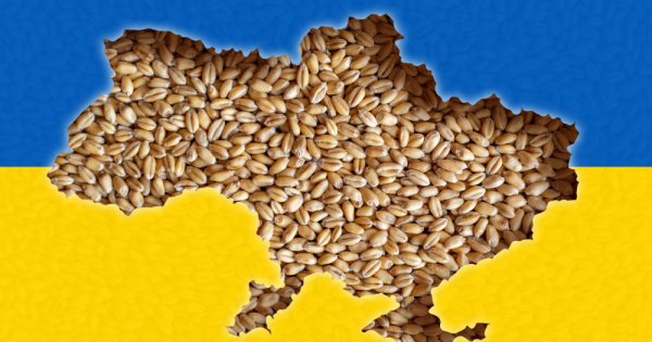 România se aliniază țărilor din regiune: va restricționa exportul de cereale...