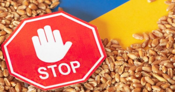 România vrea să interzică cerealele din Ucraina pe piața internă "cel puțin"...