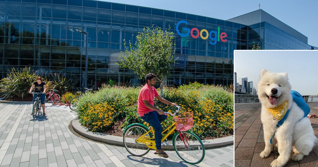 Google își recheamă angajații la birou, inclusiv pe cei nevaccinați, după un an de lucru de acasă