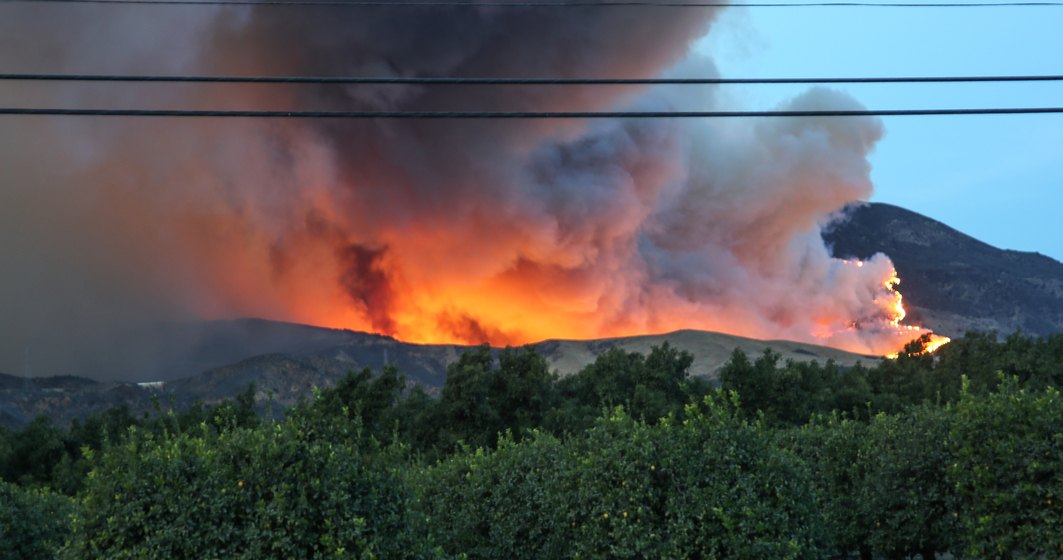 VIDEO Incendii devastatoare în California