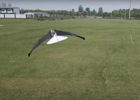 China a dezvoltat un tip de aeronavă care imită zborul păsărilor