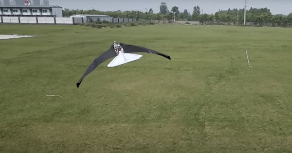 China a dezvoltat un tip de aeronavă care imită zborul păsărilor