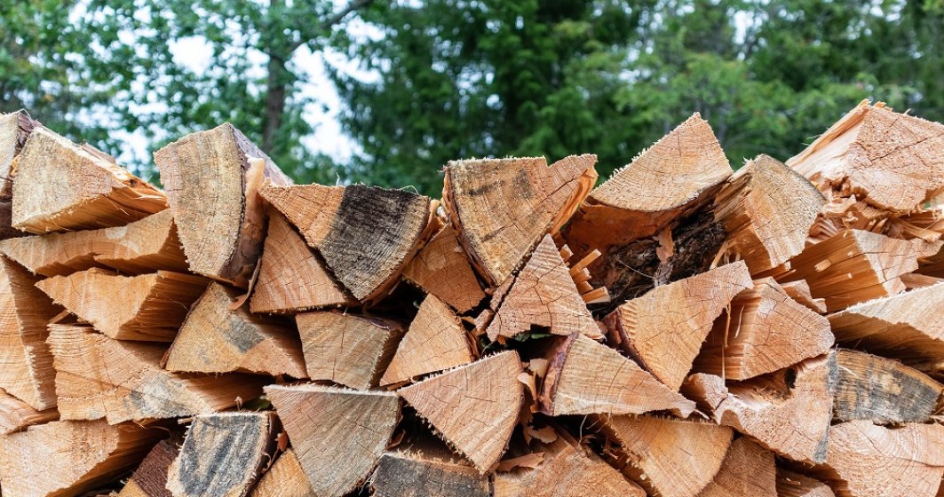 WWF: Plafonarea preţului la lemnul de foc nu protejează oamenii simpli dar omoară micile afaceri
