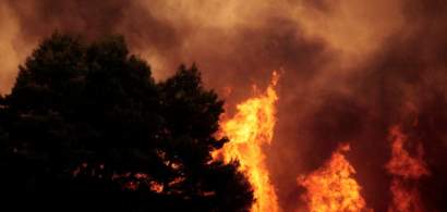 Video. Incendiile din Grecia in imagini: cel putin 79 de persoane au decedat