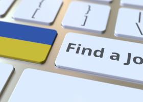 Ucraineni pe piața internațională a muncii: câți utilizatori activi are...