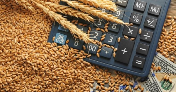 Egiptul a cumpărat 120.000 de tone de grâu din România, în dauna Rusiei