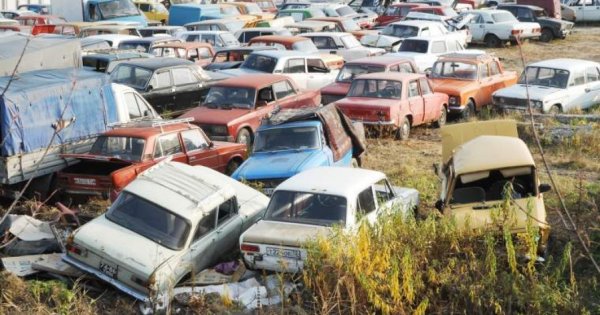 Târcolea, Toyota România: Guvernanții au luat decizia corectă când au redus...