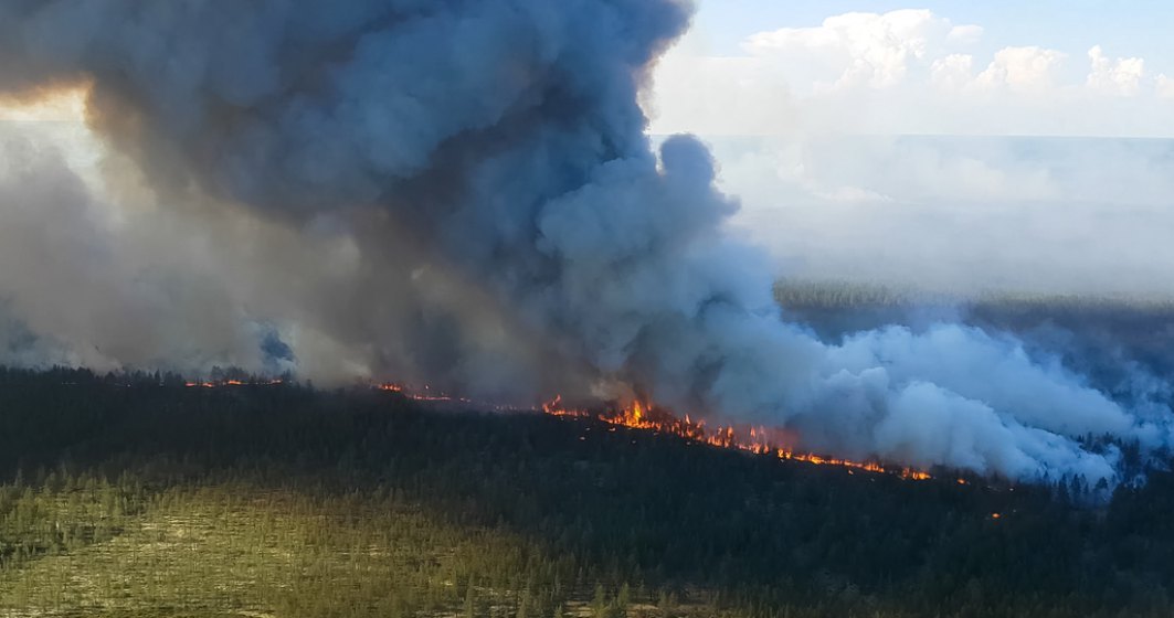 Greenpeace avertizează că incendiul din Siberia ar putea fi cel mai mare din istorie